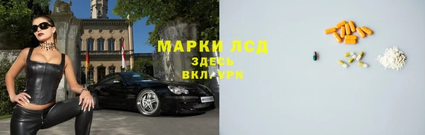 кокс Арсеньев