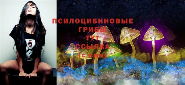 прущие грибы Алексин