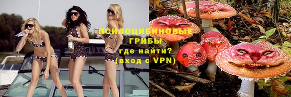 кокс Арсеньев