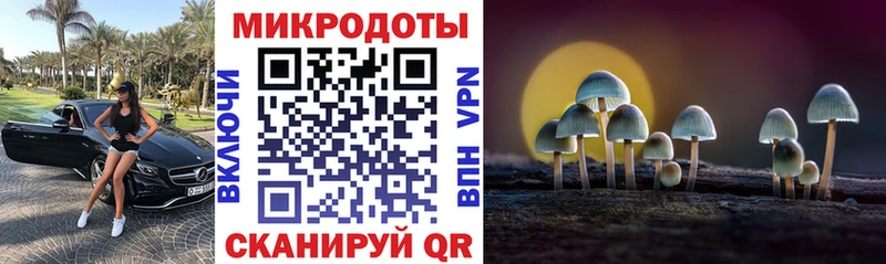 наркота  Верхний Тагил  Галлюциногенные грибы прущие грибы 